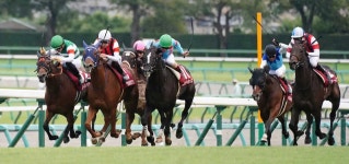 ＜中山11Rオールカマー＞レースを制したウインマリリン（左から2頭目）、2着のウインキートス（右端）、3着のグローリーヴェイズ... 
