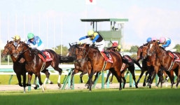 ＜阪神11R京都大賞典＞鼻差で5年ぶり勝利を挙げたマカヒキ... ギャンブル ＜阪神11R京都大賞典＞鼻差で5年ぶり勝利を挙げたマカヒキ... 