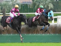 【東京ハイジャンプ】オジュウチョウサン大敗9着　石神「向正面の2つ目の障害で落馬するぐらいの飛越に」― スポニチ Sponichi Annex... 