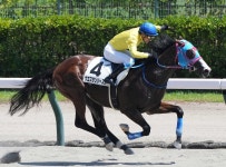 西園正師は今年新馬戦10戦5勝― スポニチ Sponichi Annex ギャンブル 【新潟6R・新馬戦】2番人気ウエスタンシーズン逃げ切った... 