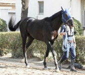 【鳴門・SGチャレンジC】赤岩　上積み成功「前検と比べて中堅くらいになったと思う」― スポニチ Sponichi Annex ギャンブル 【鳴門... 