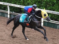 【小倉新馬戦】ケイテンアイジン　坂路でしっかり、永島「九州産では抜けている」― スポニチ Sponichi Annex ギャンブル... 