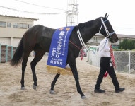【福島1R】園田所属の吉村、JRA58戦目で初勝利「芸もなくただ逃げただけでしたけど（笑い）」― スポニチ Sponichi Annex ギャンブル... 