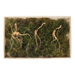 신상품 등록스포츠천사 신상품 등록 - 신상품 등록