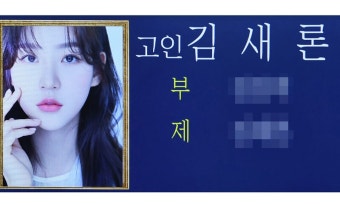 故김새론 유족, 고인 괴롭힌 유튜버 등 법적대응 예고