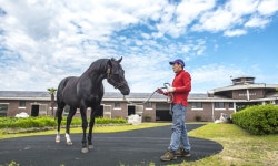마사회 제주목장, 말 테마 휴식공간으로 | 스포츠 월드 마사회 제주목장, 말 테마 휴식공간으로