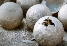 마을 성물, 실은 공룡알 화석이었다