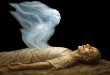 다시 주목받는 영혼의 무게 21그램