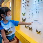 [전남] 담양 곤충박물관 탐방기