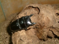 나도 알키 랍니다 ㅎ