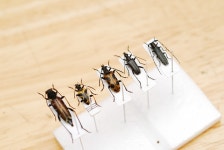 대지의 적절한 사용