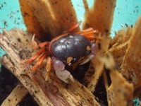 잘크는 할로윈 ㅋ