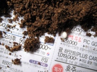 장수풍뎅이알받이