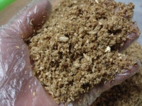 【 균사배양 】LEVIN-G를 접하다