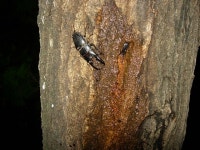 채집지 돌아보기