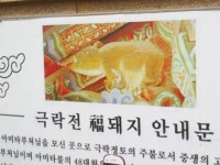 6학년 수학여행3..
