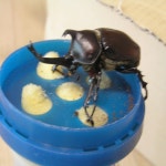 택배해체를 하였습니다.