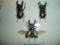 창원전시회다녀와서...