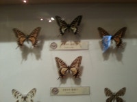 충우 방문탐방기 3부~~