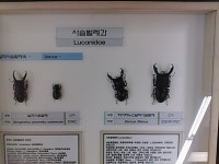신당역에 있는 곤충&파충류 체험관