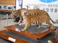 이름까먹은 생태관탐방기