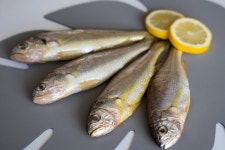 수산물사진자료