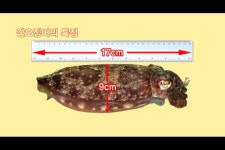 수협 - 바다사랑 고객사랑