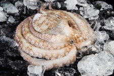 목록 > 사진뉴스 > 고객지원 > 수협