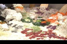 글읽기 > 사진뉴스 > 고객지원 > 수협