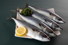 목록 > 사진뉴스 > 고객지원 > 수협