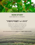 헤어앙쥬(HairAnjou) | 에스피 앙쥬 헤어 바디 6종세트 헤어샴푸+트리트먼트+헤어에센스+바디워시+폼클렌징+핸드크림 | 돈버는 쇼핑 도매꾹 [도매꾹] 에스피 앙쥬 헤어...