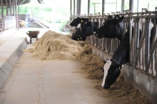 게시물 보기 페이지