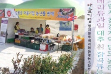 행정 > 군정소식 > 사진으로 보는 군정  |상세보기