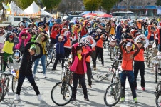 게시물 보기 페이지