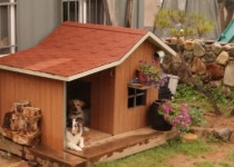 문화의거리< 관광지별숙박< 순천숙박