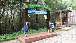 봉화산둘레길< 걷기여행< 관광지< 순천여행