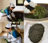 순천전통야생차체험관