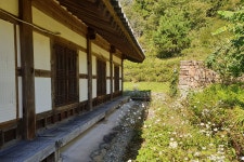 순천전통야생차체험관