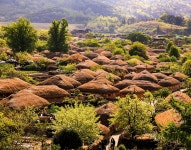 순천 낙안읍성< 관광지< 순천여행
