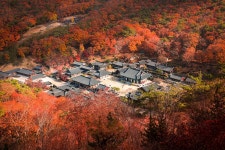 송광사< 관광지< 순천여행