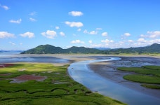 순천만습지< 관광지< 순천여행