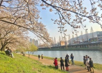 순천은 지금-순천시청