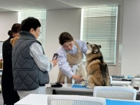 순천시반려동물문화센터