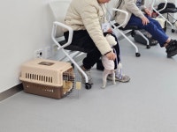 순천시반려동물문화센터