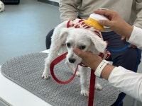 순천시반려동물문화센터