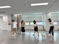 순천시반려동물문화센터