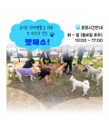 순천시반려동물문화센터