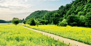 자연여건 | 수성구청 - 품격있는 사람 배려하는 도시 행복수성 자연여건