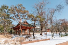 수목원은 지금(상세) : 일월수목원 > 수목원이야기 > 수목원은 지금 일월수목원 다산정원(22.12월)