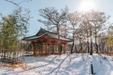 수목원은 지금(상세) : 일월수목원 > 수목원이야기 > 수목원은 지금 일월수목원 다산정원(22.12월)